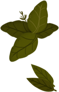 Icone foglie verdi