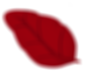 Foglia rossa su sfondo bianco