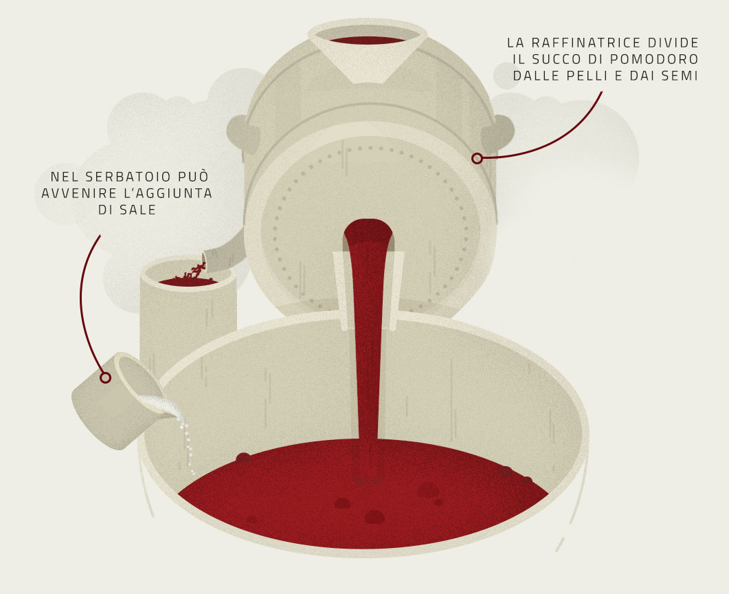 Infografica sulla sgrondatura e sulla raffinazione dei Pomodori per la produzione Petti