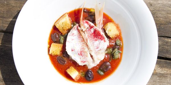 Zuppetta di Triglie con passata di datterini bio e dadini di pane croccante: la ricetta | Pomodoro Petti