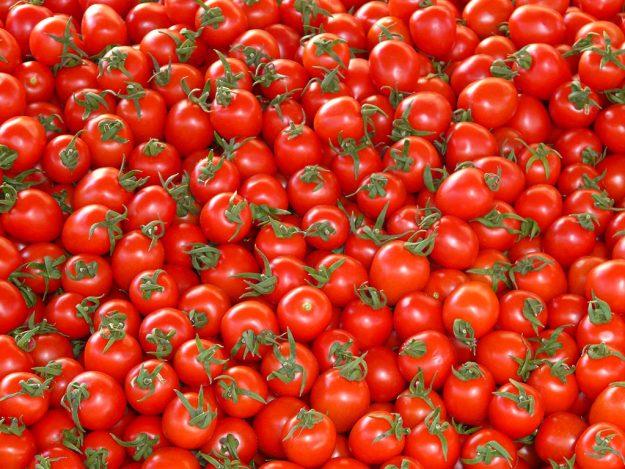 Il gruppo Petti comunica l'inizio della raccolta dei loro pomodori